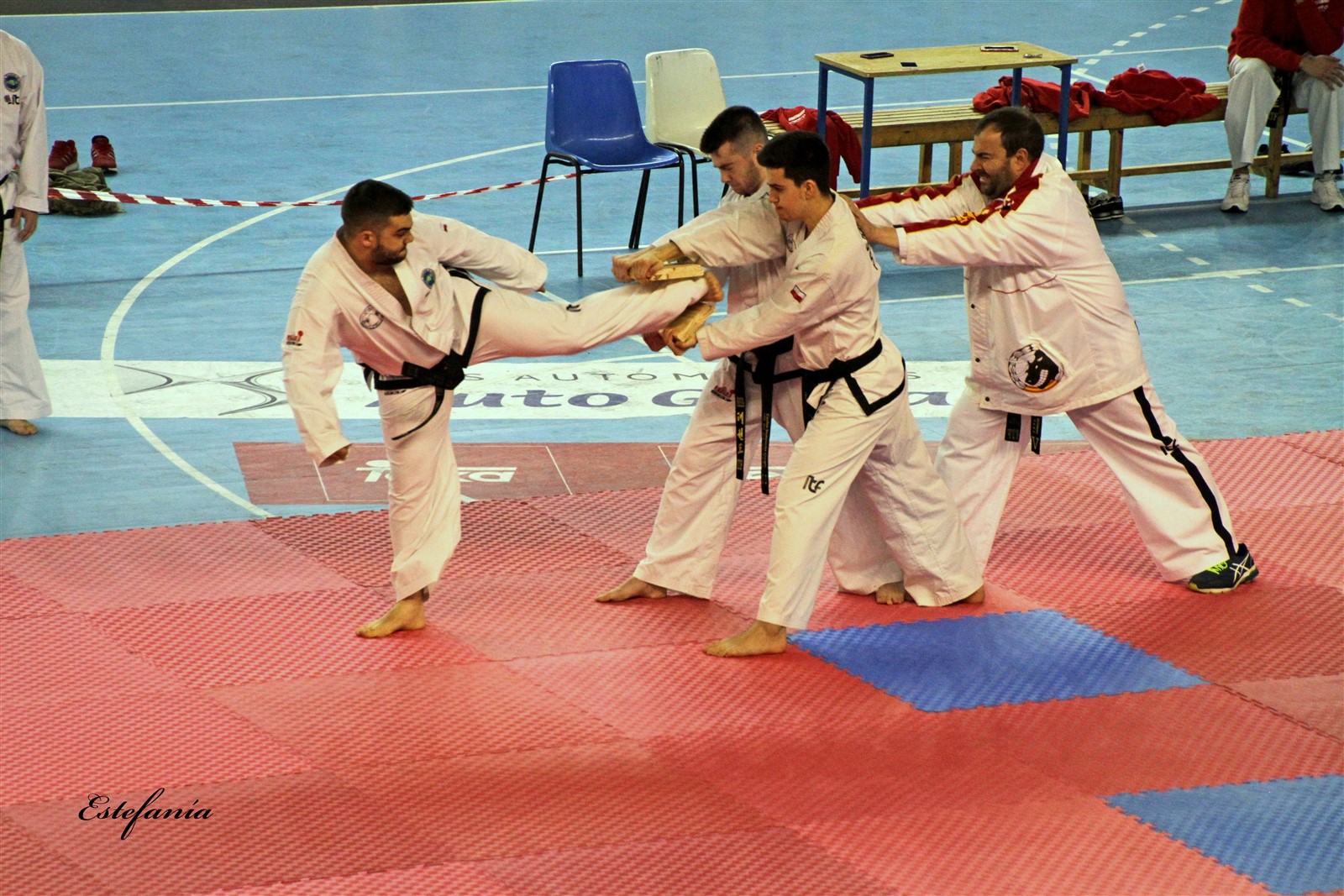 Taekwondo (220).jpg